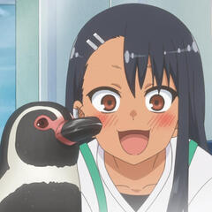 nagatoro hayase - nagatoro