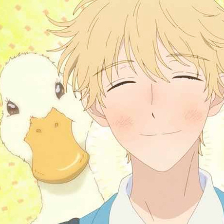 sousuke shima